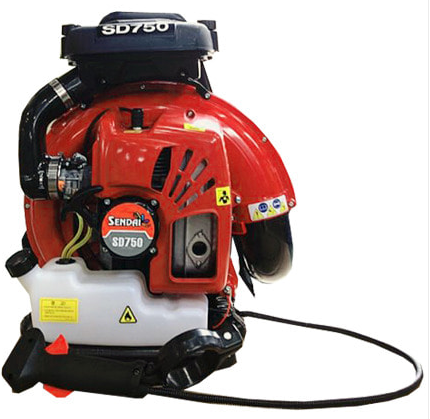 엔진 브로아(임대)