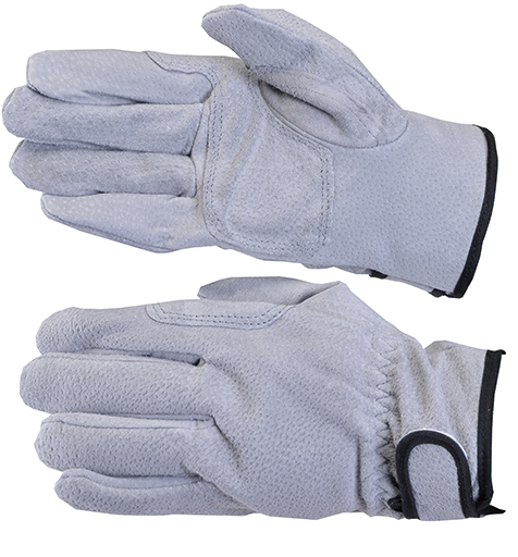 보급형 알곤장갑