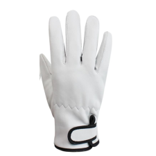 보급형 알곤장갑