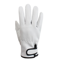 보급형 알곤장갑